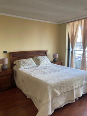 Ale Apartments Santiago-Providencia